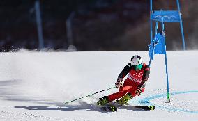 (BEIJING2022)CHINA-BEIJING-OLYMPIC WINTER GAMES-ALPINE SKIING-MIXED TEAM PARALLEL(CN)