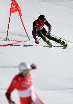 (BEIJING2022)CHINA-BEIJING-OLYMPIC WINTER GAMES-ALPINE SKIING-MIXED TEAM PARALLEL(CN)