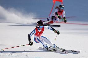 (BEIJING2022)CHINA-BEIJING-OLYMPIC WINTER GAMES-ALPINE SKIING-MIXED TEAM PARALLEL(CN)