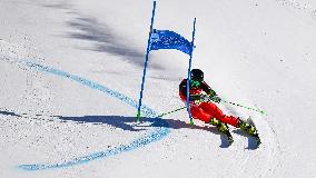 (BEIJING2022)CHINA-BEIJING-OLYMPIC WINTER GAMES-ALPINE SKIING-MIXED TEAM PARALLEL(CN)