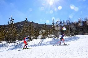 (XHTP)(BEIJING2022)CHINA-ZHANGJIAKOU-OLYMPIC WINTER GAMES-CROSS-COUNTRY SKIING-WOMEN'S 30KM MASS START FREE (CN)