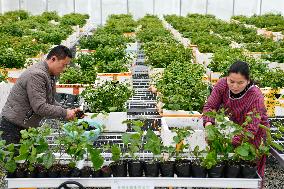 CHINA-GUIZHOU-RONGJIANG-SPRING PLOUGHING(CN)