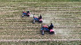 CHINA-SHANDONG-SPRING PLOUGHING(CN)