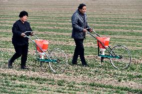 CHINA-SHANDONG-SPRING PLOUGHING(CN)