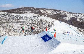(BEIJING2022)CHINA-ZHANGJIAKOU-OLYMPIC WINTER GAMES-FREESTYLE SKIING-MEN'S SKI CROSS (CN)