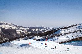 (BEIJING2022)CHINA-ZHANGJIAKOU-OLYMPIC WINTER GAMES-FREESTYLE SKIING-MEN'S SKI CROSS (CN)