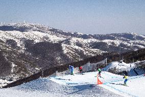 (BEIJING2022)CHINA-ZHANGJIAKOU-OLYMPIC WINTER GAMES-FREESTYLE SKIING-MEN'S SKI CROSS (CN)