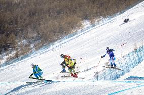 (BEIJING2022)CHINA-ZHANGJIAKOU-OLYMPIC WINTER GAMES-FREESTYLE SKIING-MEN'S SKI CROSS (CN)