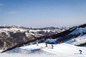 (BEIJING2022)CHINA-ZHANGJIAKOU-OLYMPIC WINTER GAMES-FREESTYLE SKIING-MEN'S SKI CROSS (CN)