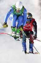 (XHTP)(BEIJING2022)CHINA-ZHANGJIAKOU-OLYMPIC WINTER GAMES-FREESTYLE SKIING-MEN'S SKI CROSS (CN)