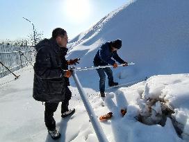CHINA-SNOW SPORTS VENUES-TECHNICAL TEAM (CN)