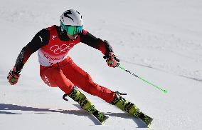 (BEIJING2022)CHINA-BEIJING-OLYMPIC WINTER GAMES-ALPINE SKIING-MIXED TEAM PARALLEL(CN)