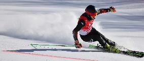 (XHTP)(BEIJING2022)CHINA-BEIJING-OLYMPIC WINTER GAMES-ALPINE SKIING-MIXED TEAM PARALLEL(CN)