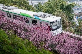 CHINA-CHONGQING-TRAIN-FLOWER (CN)