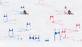 (BEIJING2022)CHINA-BEIJING-OLYMPIC WINTER GAMES-ALPINE SKIING-MIXED TEAM PARALLEL(CN)