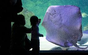 CANADA-TORONTO-AQUARIUM-FAMILY DAY