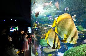 CANADA-TORONTO-AQUARIUM-FAMILY DAY