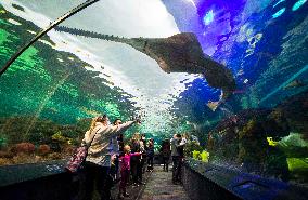 CANADA-TORONTO-AQUARIUM-FAMILY DAY