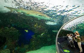 CANADA-TORONTO-AQUARIUM-FAMILY DAY