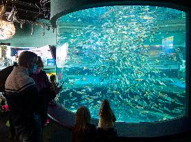 CANADA-TORONTO-AQUARIUM-FAMILY DAY