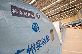 CHINA-HONG KONG-FALCON TESTING LABS (CN)