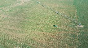 #CHINA-SPRING-FARMING (CN)