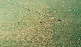 #CHINA-SPRING-FARMING (CN)