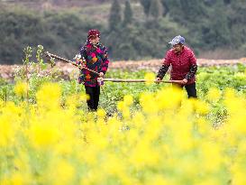 #CHINA-SPRING-FARMING (CN)