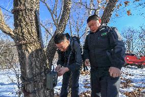 CHINA-JILIN-WILD ANIMALS-PROTECTION (CN)