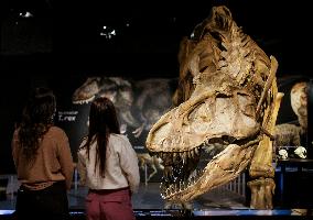 CANADA-VANCOUVER-EXHIBITION-DINOSAUR-T. REX