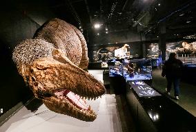 CANADA-VANCOUVER-EXHIBITION-DINOSAUR-T. REX