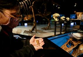 CANADA-VANCOUVER-EXHIBITION-DINOSAUR-T. REX