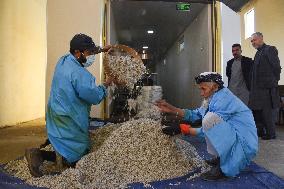 AFGHANISTAN-MAZAR-I-SHARIF-COOKING OIL PLANT-RESUMPTION