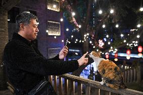 CHINA-CHONGQING-HISTORICAL AREA-RENOVATION (CN)