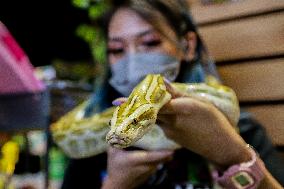 PHILIPPINES-PASAY CITY-ANIMAL FAIR