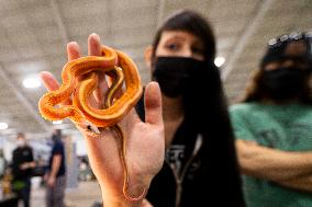 CANADA-MISSISSAUGA-REPTILE EXPO