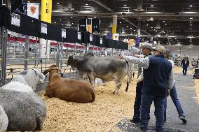 U.S.-TEXAS-HOUSTON LIVESTOCK SHOW AND RODEO-OPENING