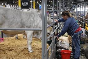 U.S.-TEXAS-HOUSTON LIVESTOCK SHOW AND RODEO-OPENING