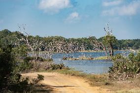 SRI LANKA-WILPATTU NATIONAL PARK