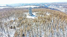 #CHINA-HEBEI-CHENGDE-SAIHANBA-SNOW VIEW (CN)