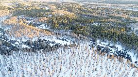 #CHINA-HEBEI-CHENGDE-SAIHANBA-SNOW VIEW (CN)