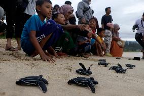 INDONESIA-ACEH-LEATHERBACK SEA TURTLE-RELEASE