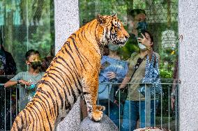 MALAYSIA-KUALA LUMPUR-WORLD WILDLIFE DAY-MALAYAN TIGER