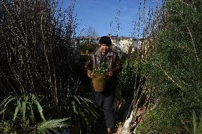 AFGHANISTAN-BALKH-NAWROZ-PREPARATION