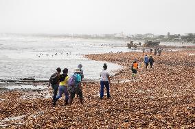 SOUTH AFRICA-WESTERN CAPE-WEST COAST-ROCK LOBSTERS-CLEAN-UP OPERATIONS