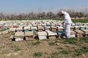 AFGHANISTAN-KUNDUZ-CHAHAR DARA-BEE FARM