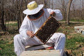 AFGHANISTAN-KUNDUZ-CHAHAR DARA-BEE FARM