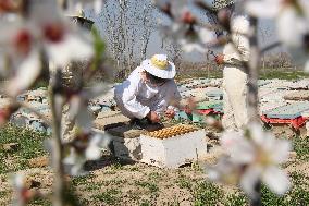 AFGHANISTAN-KUNDUZ-CHAHAR DARA-BEE FARM