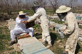 AFGHANISTAN-KUNDUZ-CHAHAR DARA-BEE FARM