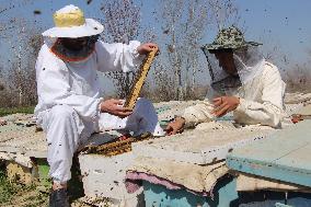 AFGHANISTAN-KUNDUZ-CHAHAR DARA-BEE FARM